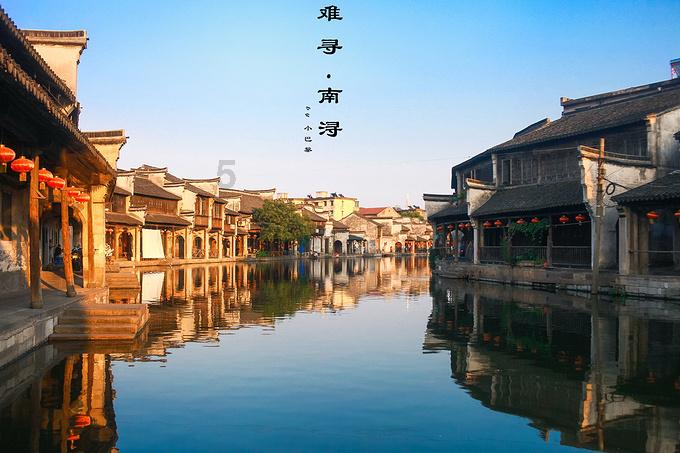 救援受困的老虎